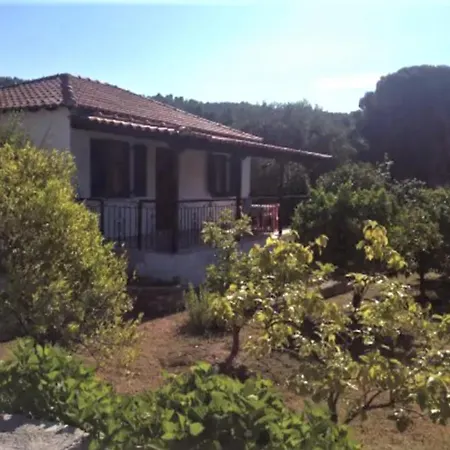 Kaiti 4 קוקונאריס