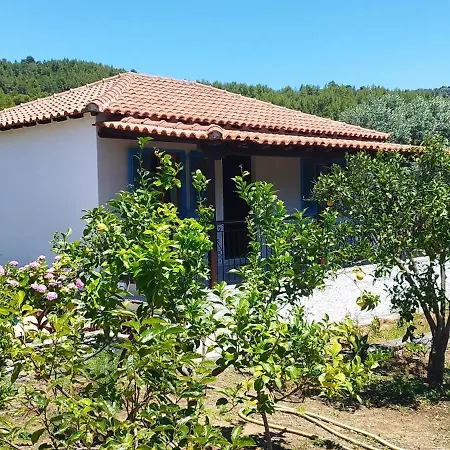 Villa Kaiti 4 Koukounaries