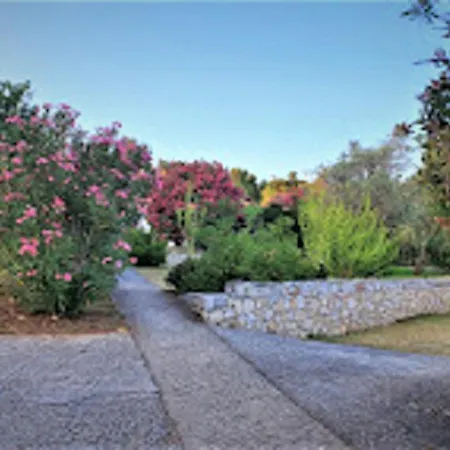 Kaiti 4 Villa